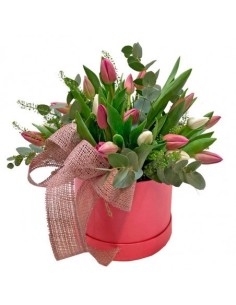 SOMBRERERA TULIPS