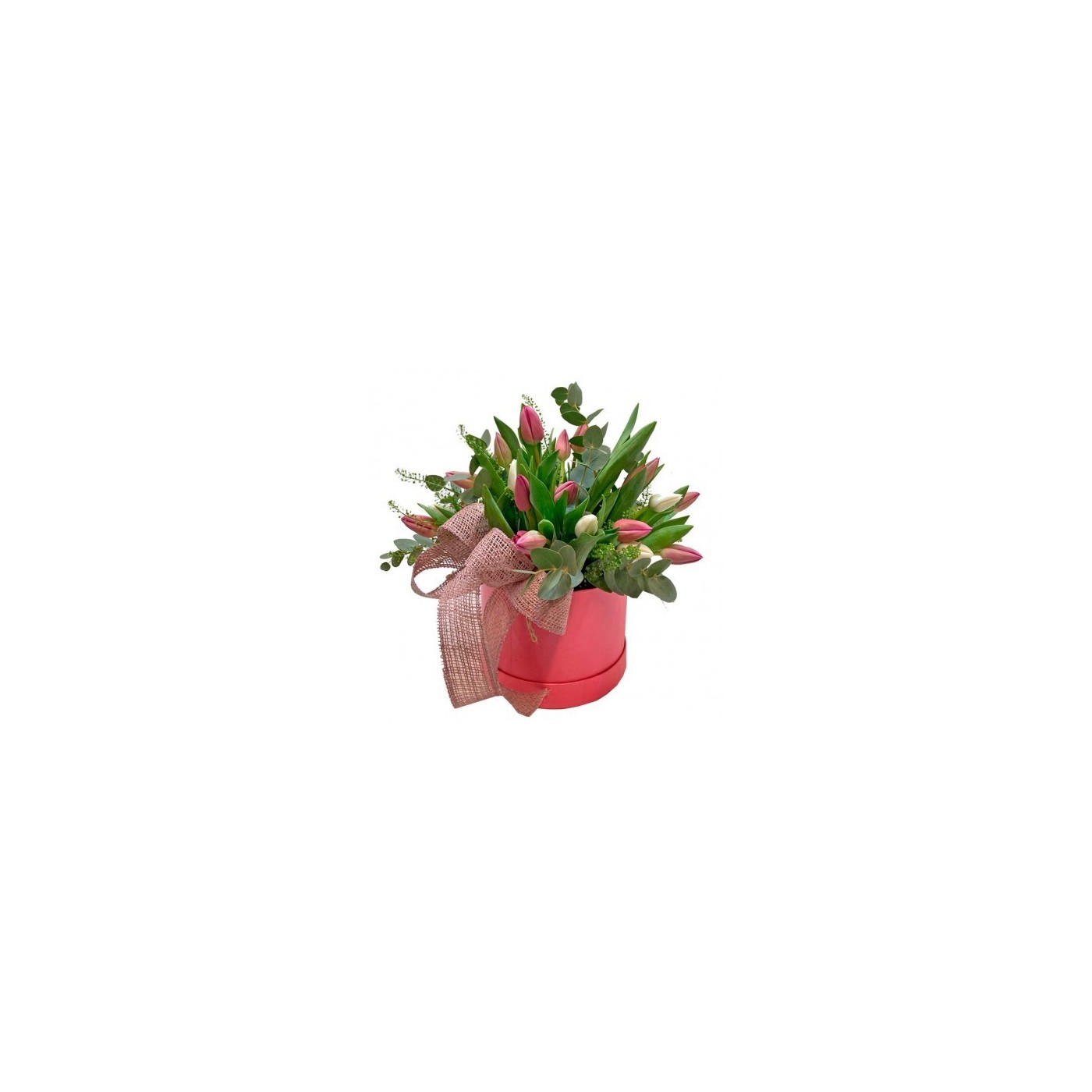 SOMBRERERA TULIPS