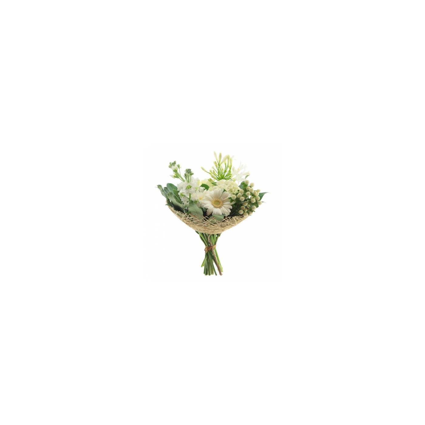 BOUQUET POLAR