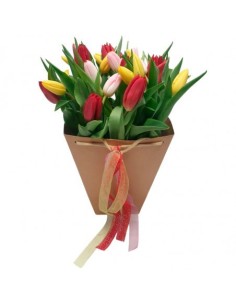 RAMO DE FLORES AALSMEER