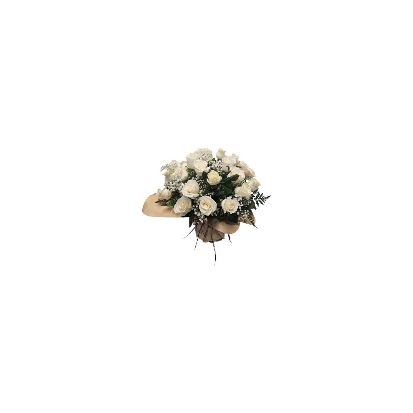 ELEGANTE