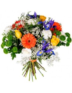 RAMO DE FLORES GALICIA
