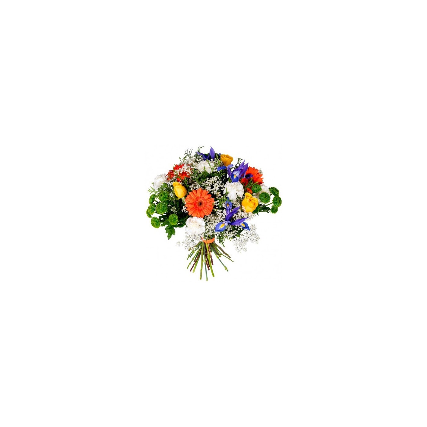 RAMO DE FLORES GALICIA