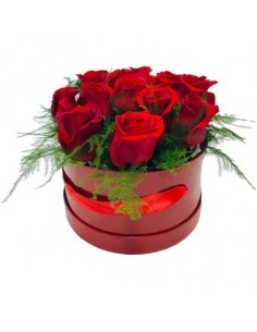 SOMBRERERA RED AMOUR