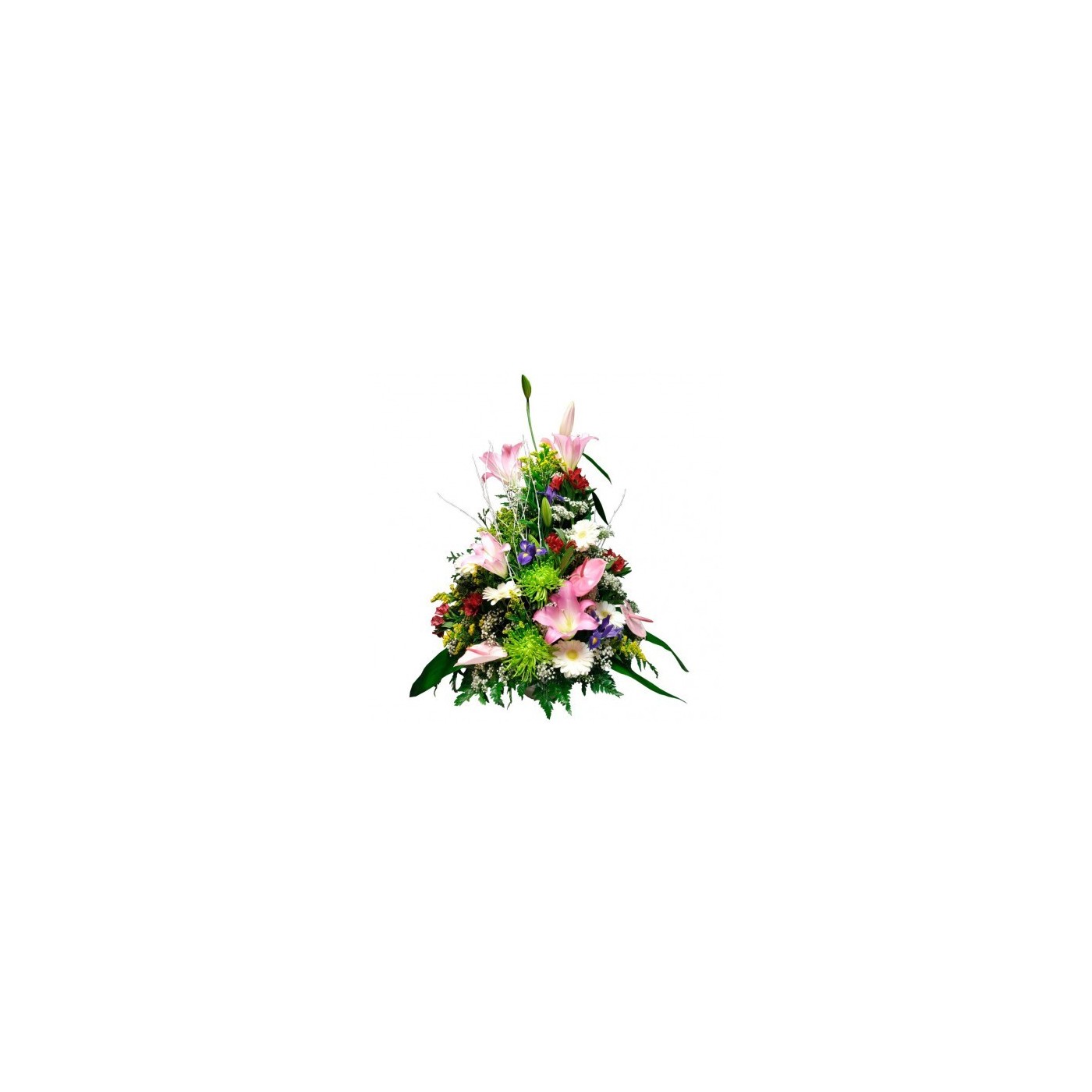 CENTRO FLORAL HAWAI
