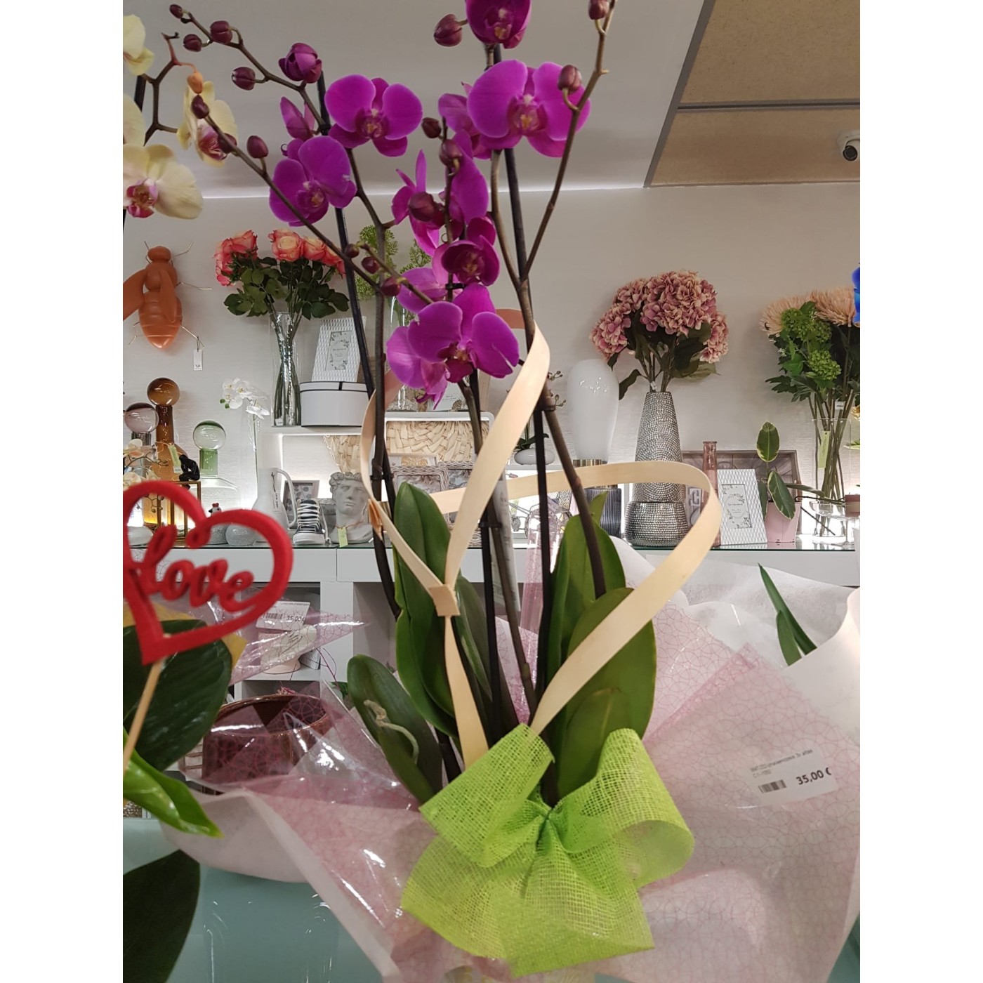 🌷 Orquídea - Phalaenopsis de tres varas | Menta Floristas | Floristería en Lugo