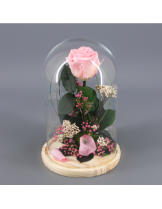 🌷 ROSA BELLA Y BESTIA | Menta Floristas | Floristería en Lugo