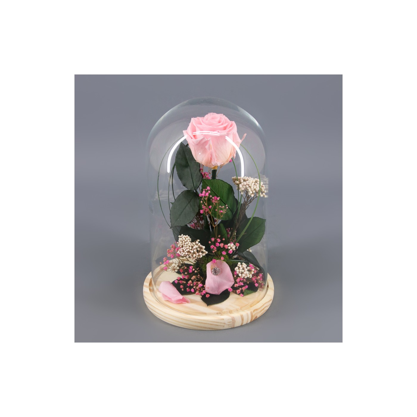🌷 ROSA BELLA Y BESTIA | Menta Floristas | Floristería en Lugo