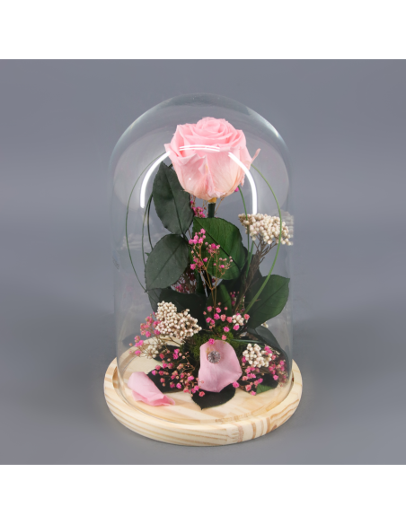 🌷 ROSA BELLA Y BESTIA | Menta Floristas | Floristería en Lugo