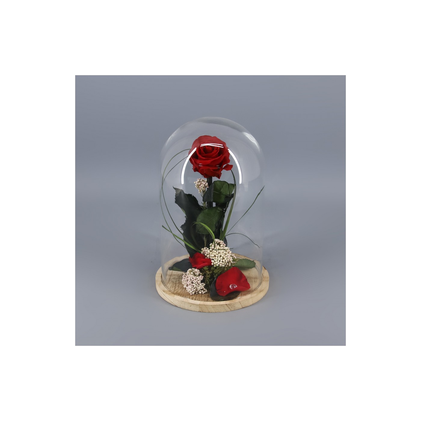 🌷 ROSA BELLA Y BESTIA | Menta Floristas | Floristería en Lugo