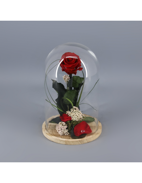 🌷 ROSA BELLA Y BESTIA | Menta Floristas | Floristería en Lugo