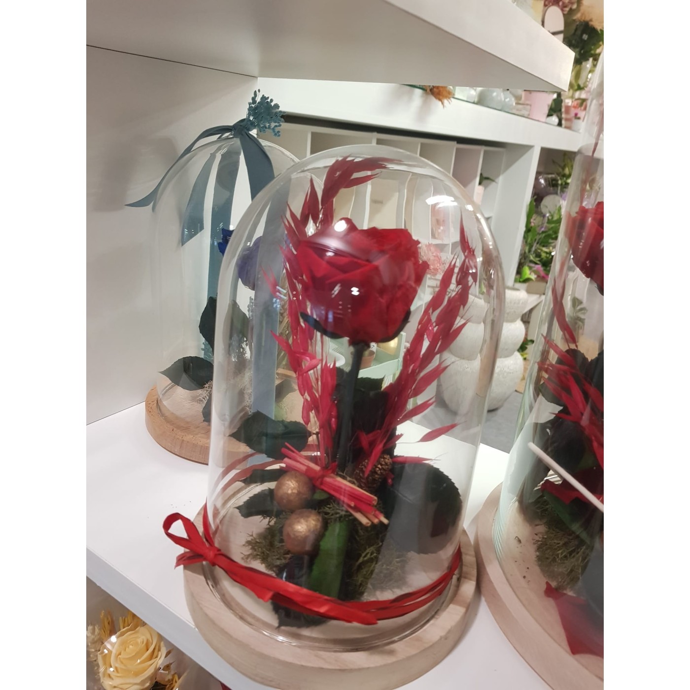 Cúpula rosa preservada
