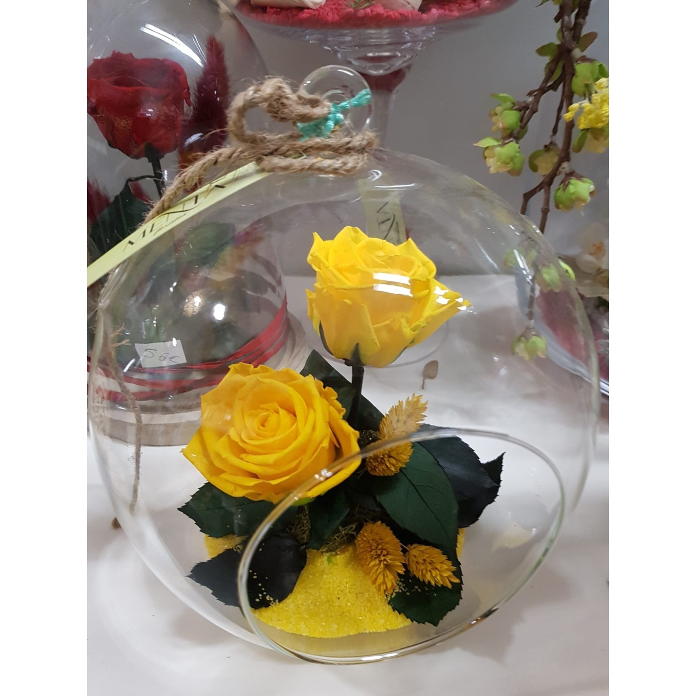 Cúpula rosa preservada