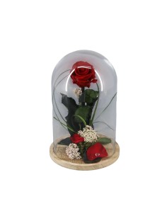 Cúpula rosa preservada