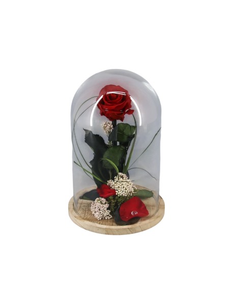 Cúpula rosa preservada