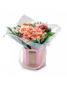CAJA SPRING