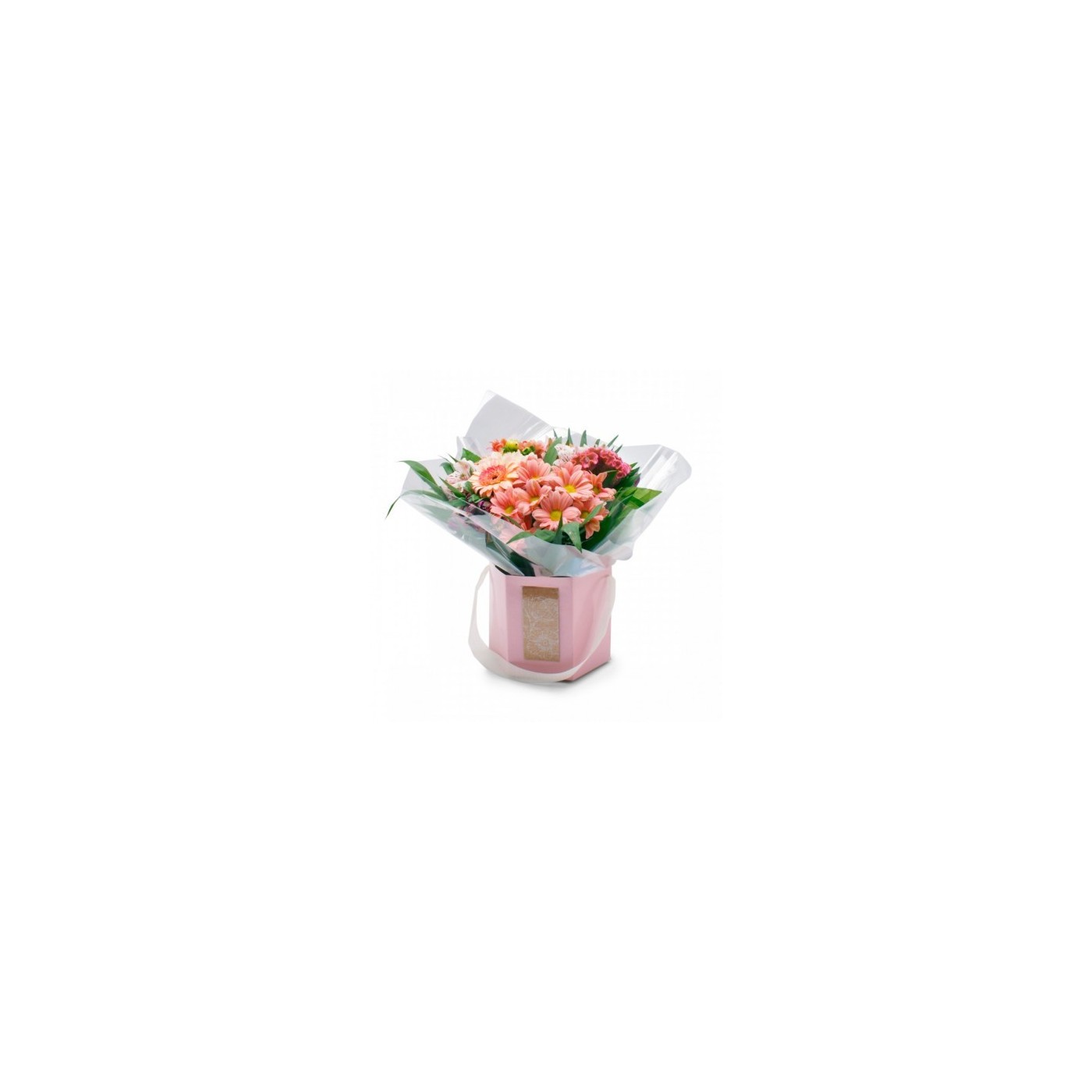 CAJA SPRING