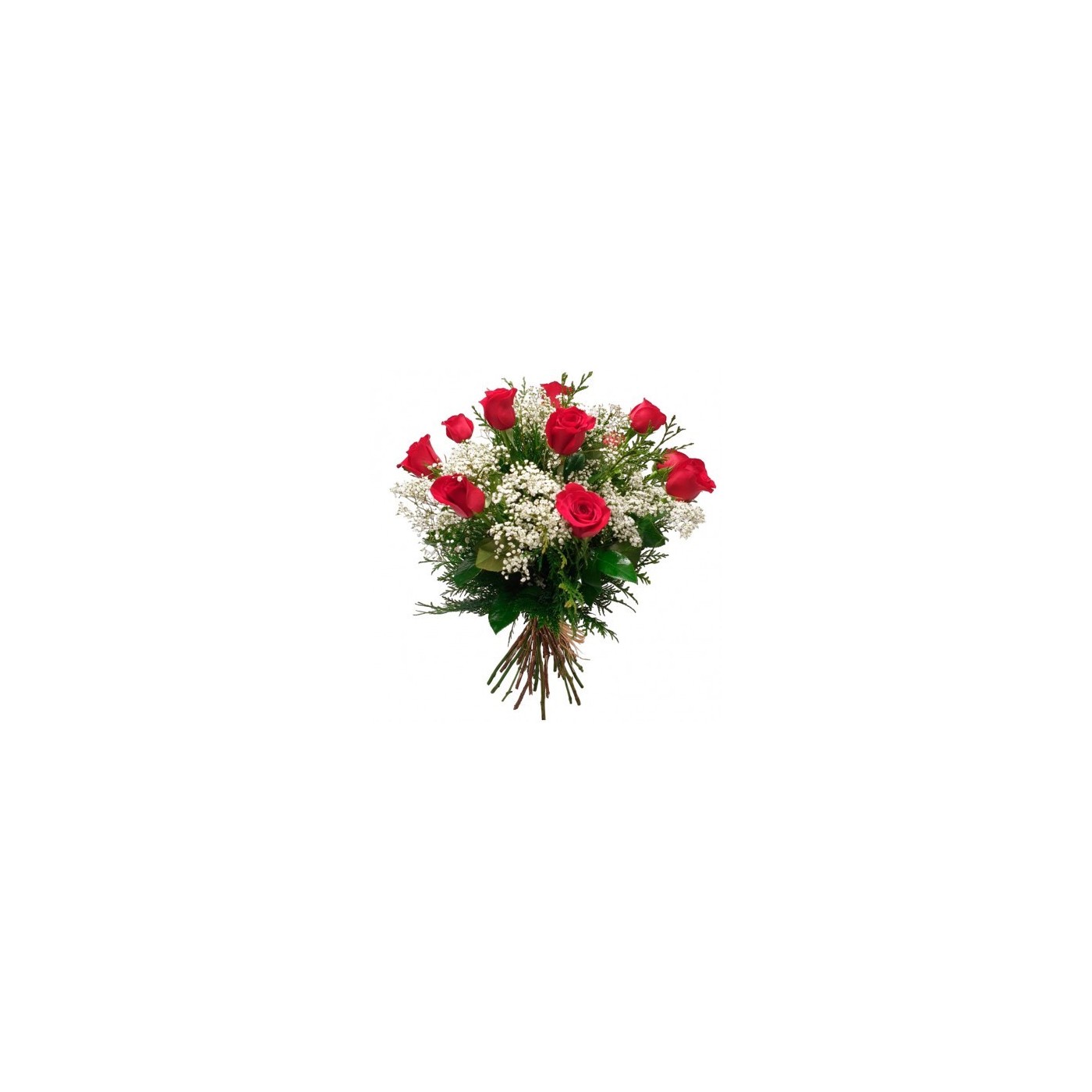 12 ROSAS (TALLO MEDIO)